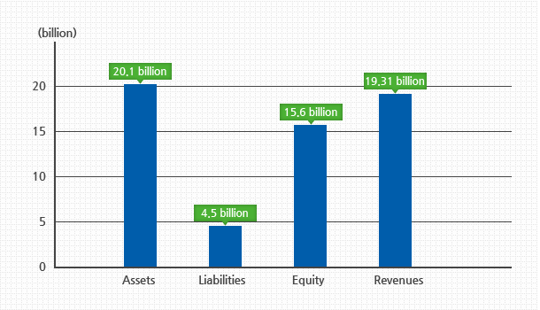 The graph shows the financial status of Hankuk Advanced Materials. As end of year 2013, there are assets of 20.1 billion, liabilities of 4.5 billion, equity of 15.6 billion won, and revenues of 19.31 billion