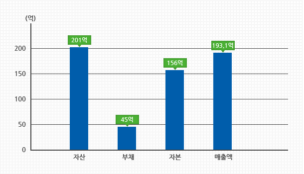 한국신소재의 재무현황을 나타내는 그래프입니다.2013년을 기준으로 자산 201억,부채 45억,자본 156억,매출액 193.1억 입니다.